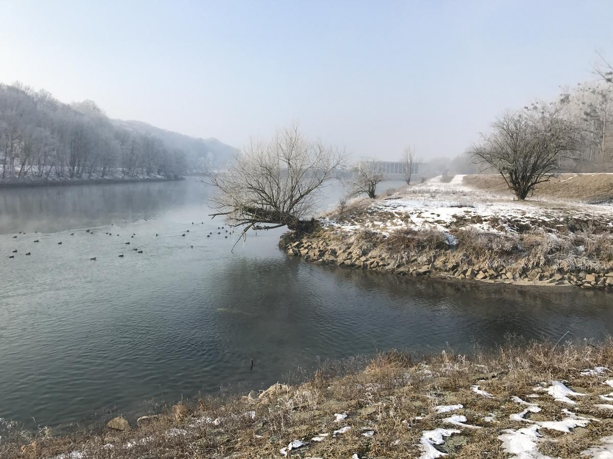 Aparthotel nah dran Dingolfing Bagian luar foto